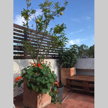 Casita blanca con fibra óptica y piscina cominutaria Vila Tossa de Mar Exterior foto