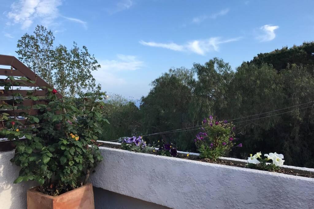 Casita Blanca Con Fibra Optica Y Piscina Cominutaria Vakantiehuis Tossa de Mar